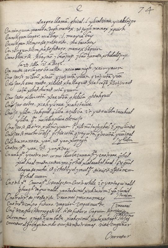 ms_coll_700_item184_wk1_body0145