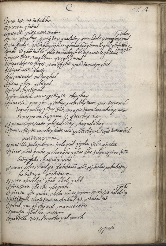 ms_coll_700_item184_wk1_body0165