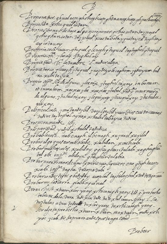 ms_coll_700_item184_wk1_body0334