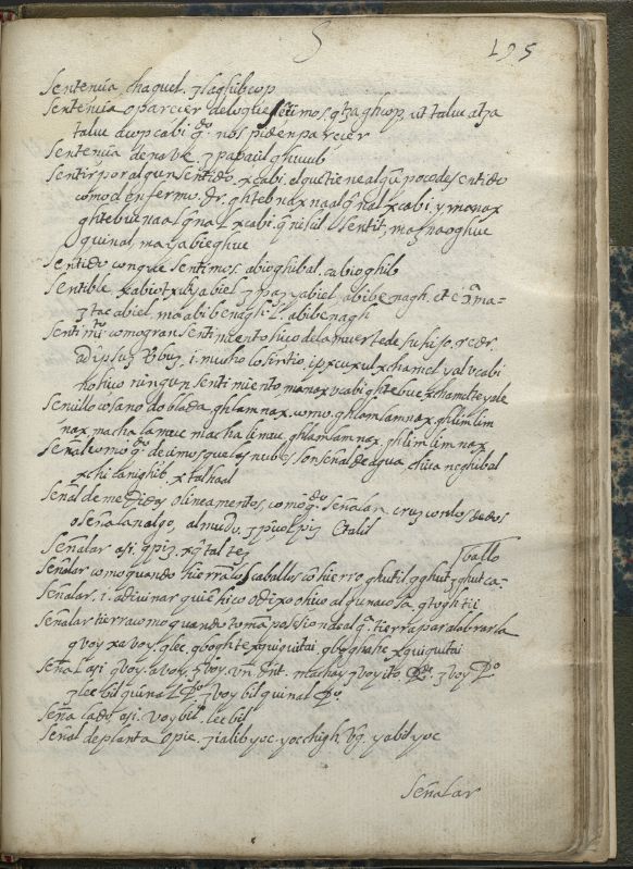ms_coll_700_item184_wk1_body0387