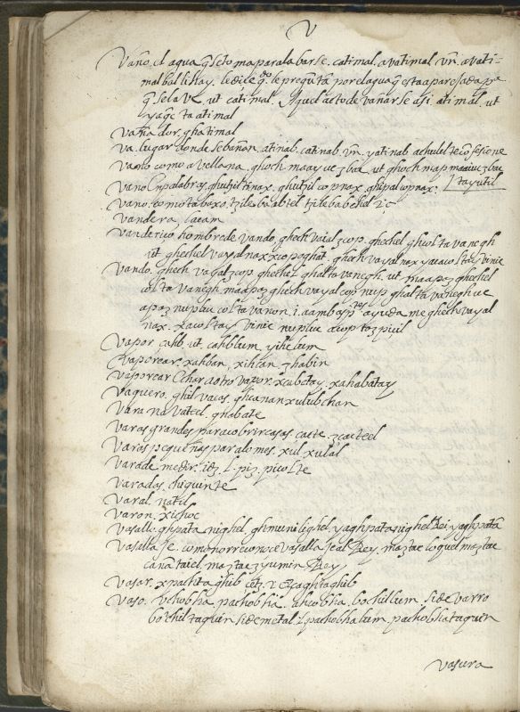 ms_coll_700_item184_wk1_body0424
