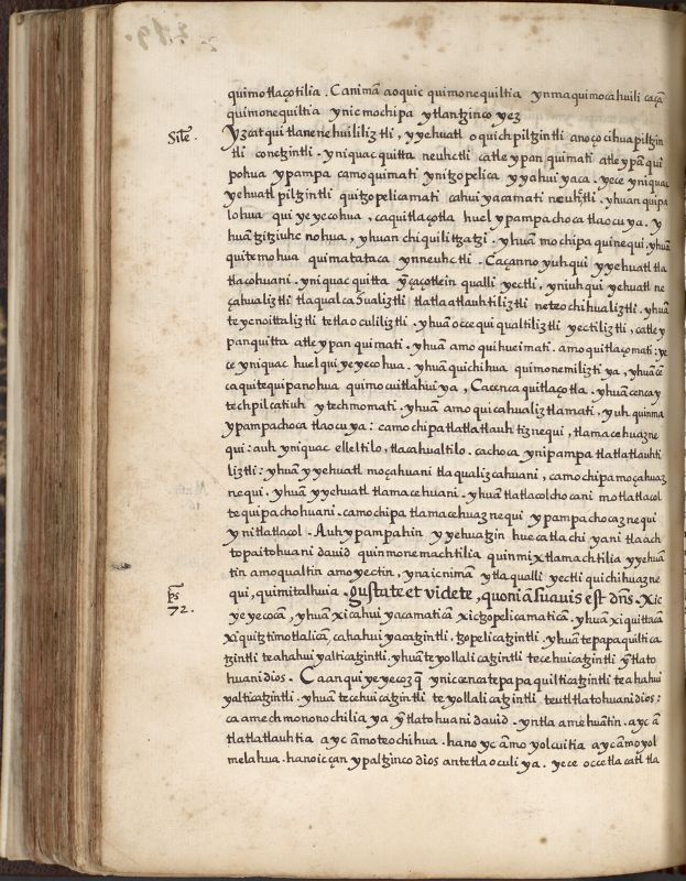 ms_coll_700_item189_wk1_body0438