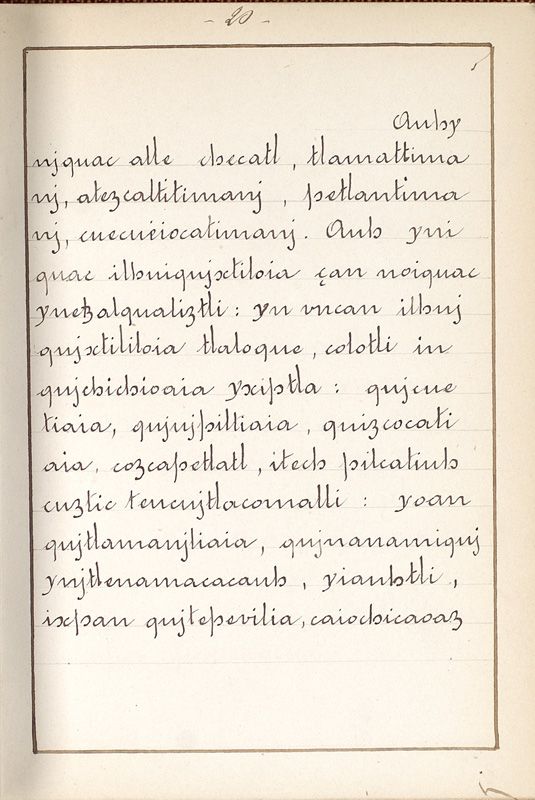 ms_coll_700_item195_wk1_body0020