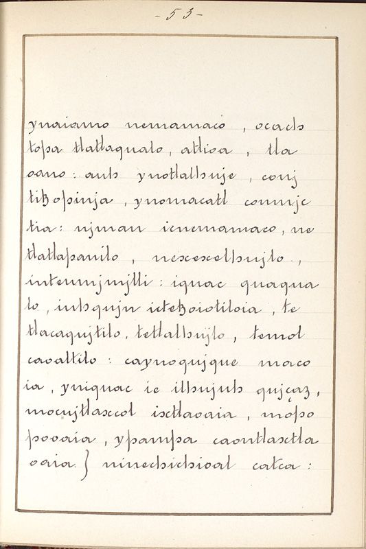 ms_coll_700_item195_wk1_body0053