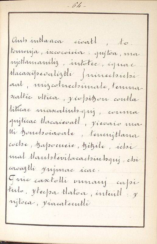 ms_coll_700_item195_wk1_body0064