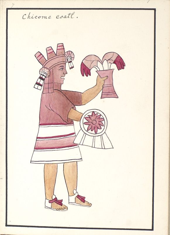 ms_coll_700_item195_wk1_body0098
