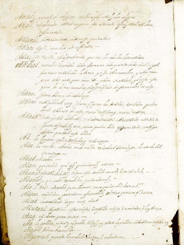 ms_coll_700_item196_wk1_body0002
