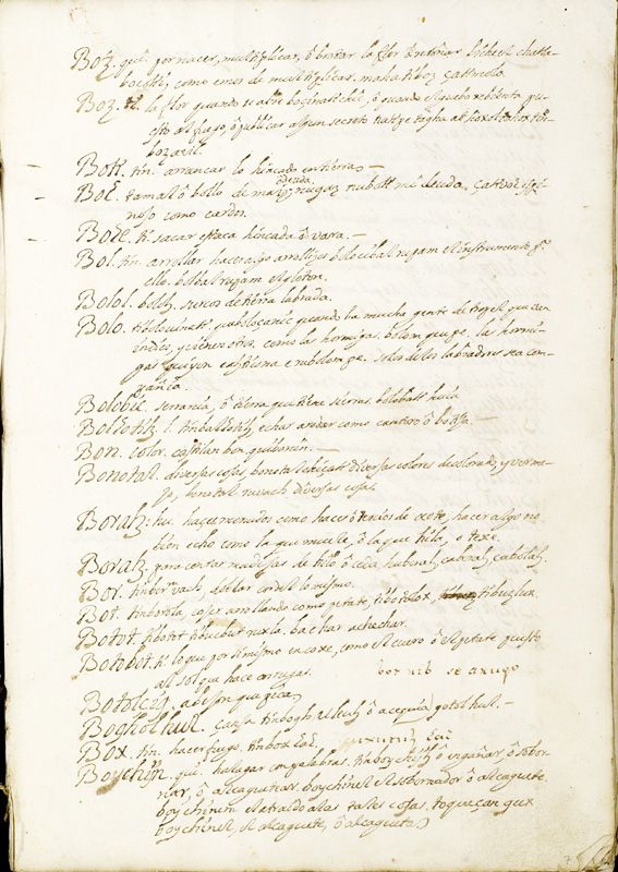 ms_coll_700_item196_wk1_body0013