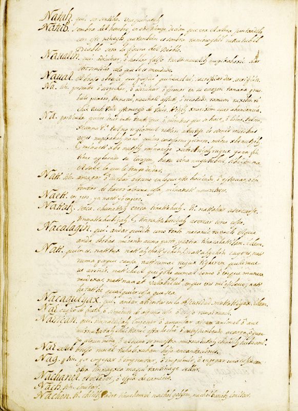 ms_coll_700_item196_wk1_body0076