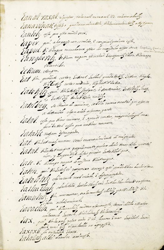 ms_coll_700_item196_wk1_body0123