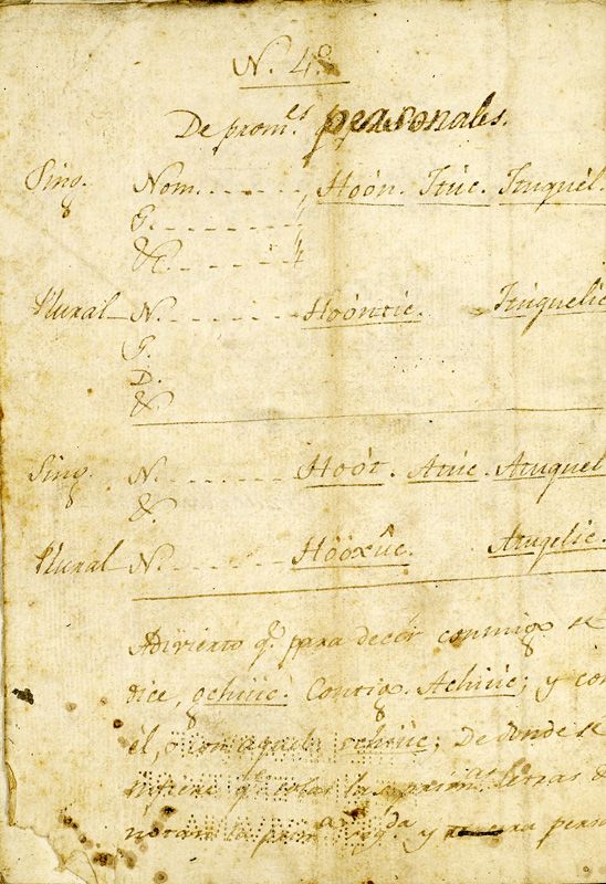 ms_coll_700_item198_wk1_body0030