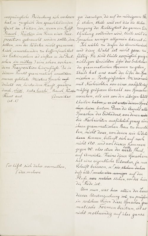 ms_coll_700_item208_body0006