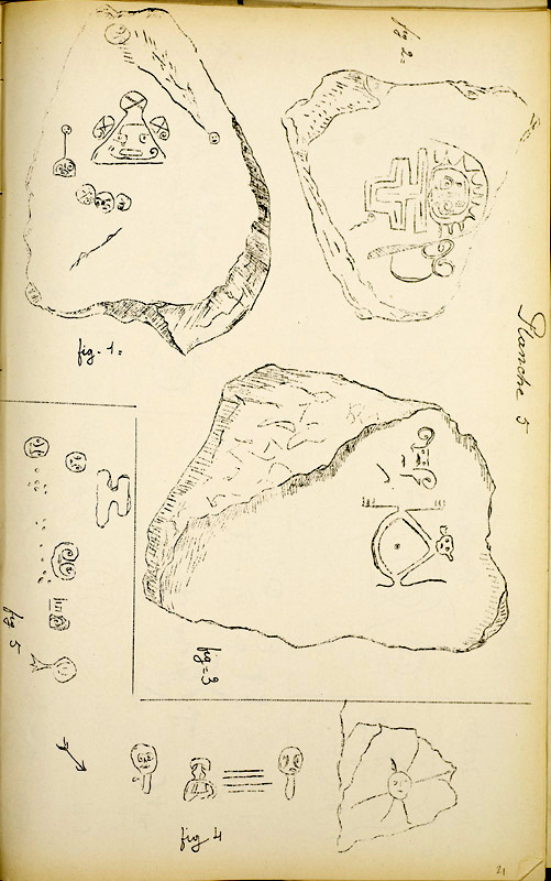 ms_coll_700_item211_wk1_body0021