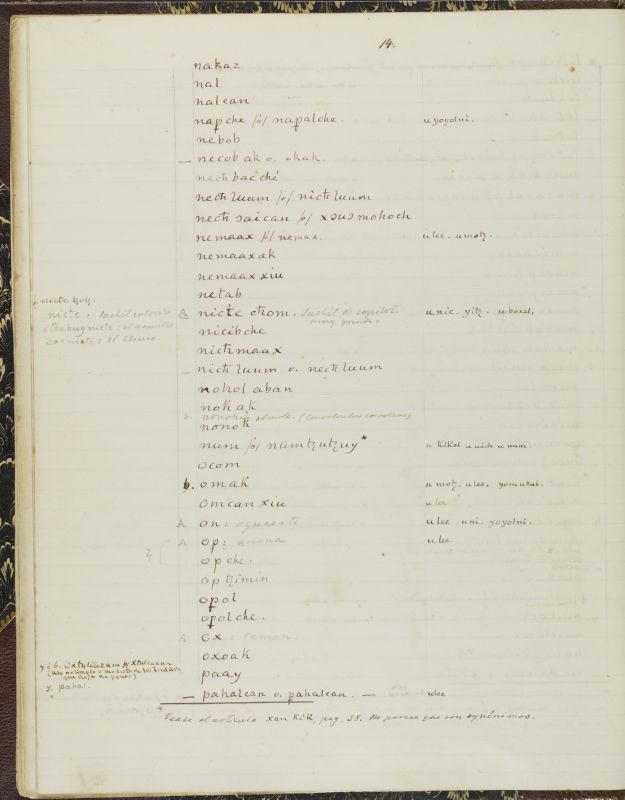 ms_coll_700_item45_wk1_body0014