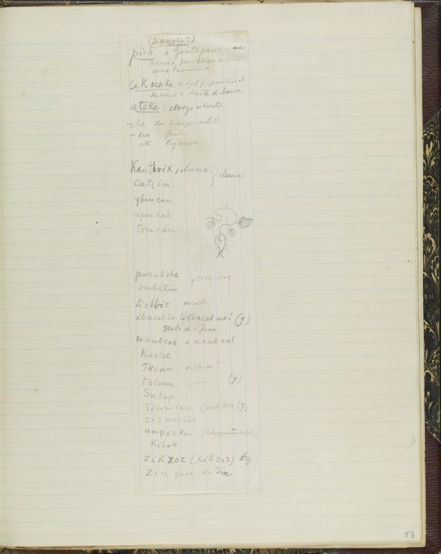 ms_coll_700_item45_wk1_body0053