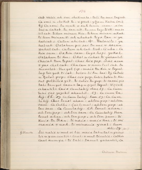 ms_coll_700_item49_wk1_body0174