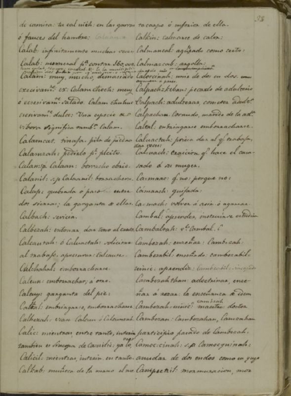 ms_coll_700_item5_wk1_body0033