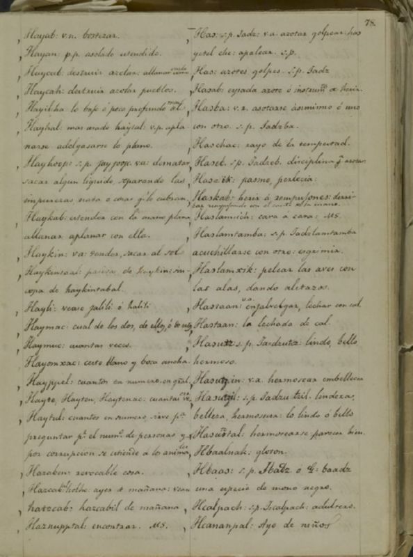 ms_coll_700_item5_wk1_body0077