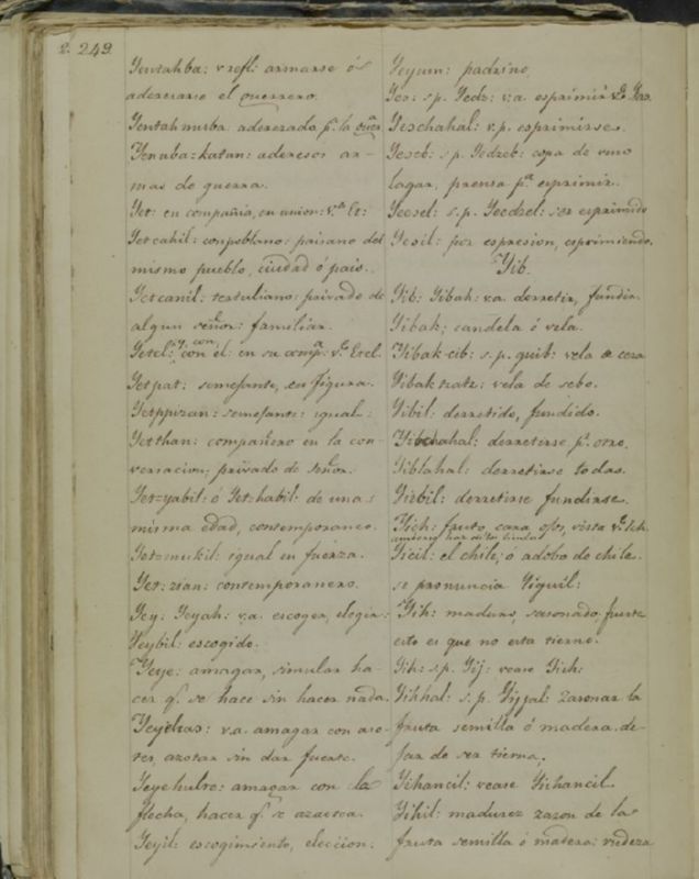 ms_coll_700_item5_wk1_body0248