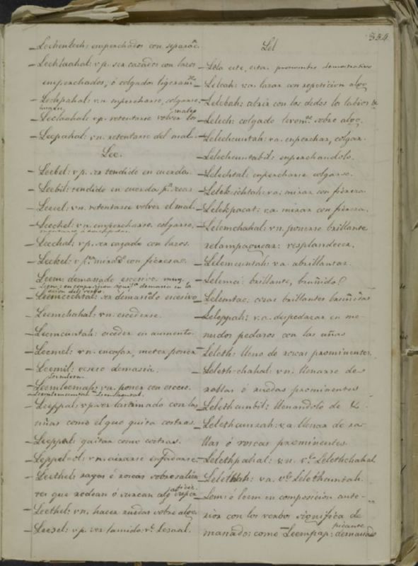 ms_coll_700_item5_wk1_body0353