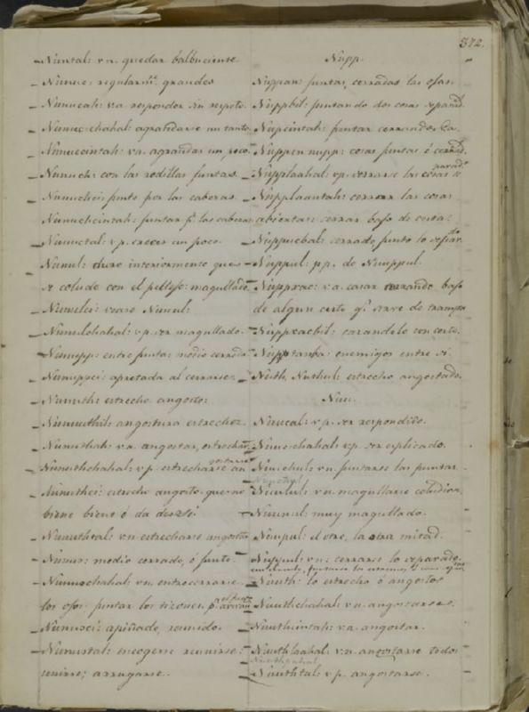 ms_coll_700_item5_wk1_body0371