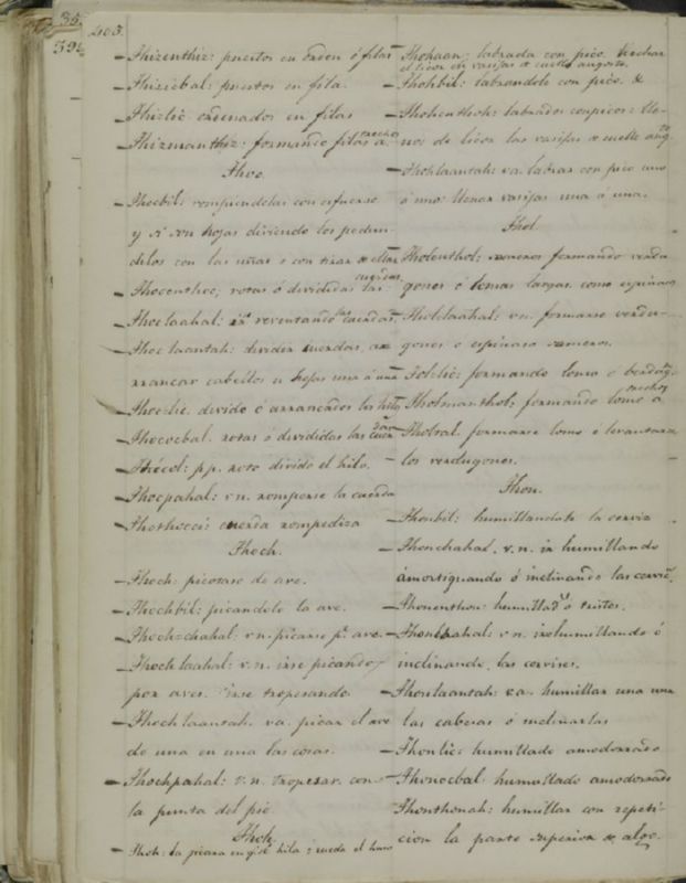 ms_coll_700_item5_wk1_body0404