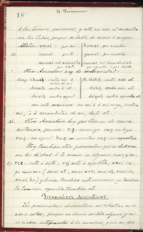 ms_coll_700_item55_wk1_body0018