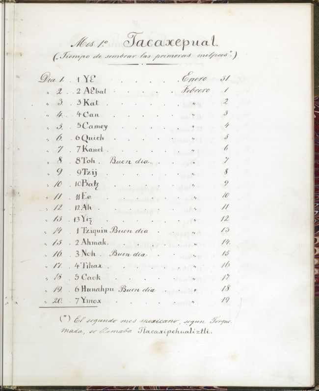 ms_coll_700_item57_wk1_body0009