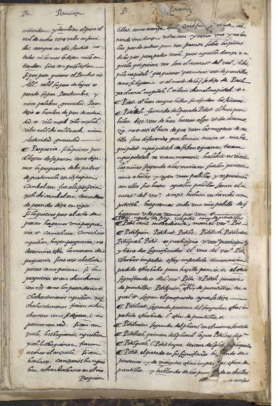 ms_coll_700_item61_wk1_body0134