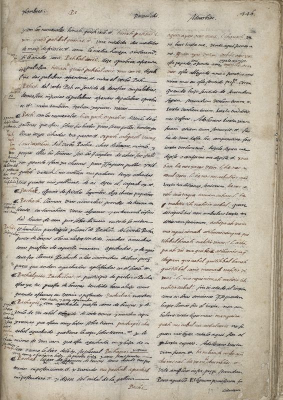 ms_coll_700_item61_wk1_body0193