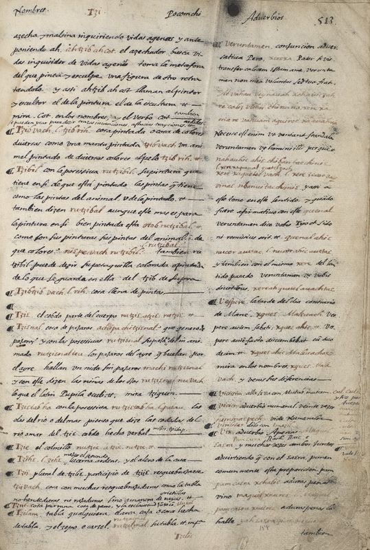 ms_coll_700_item61_wk1_body0315