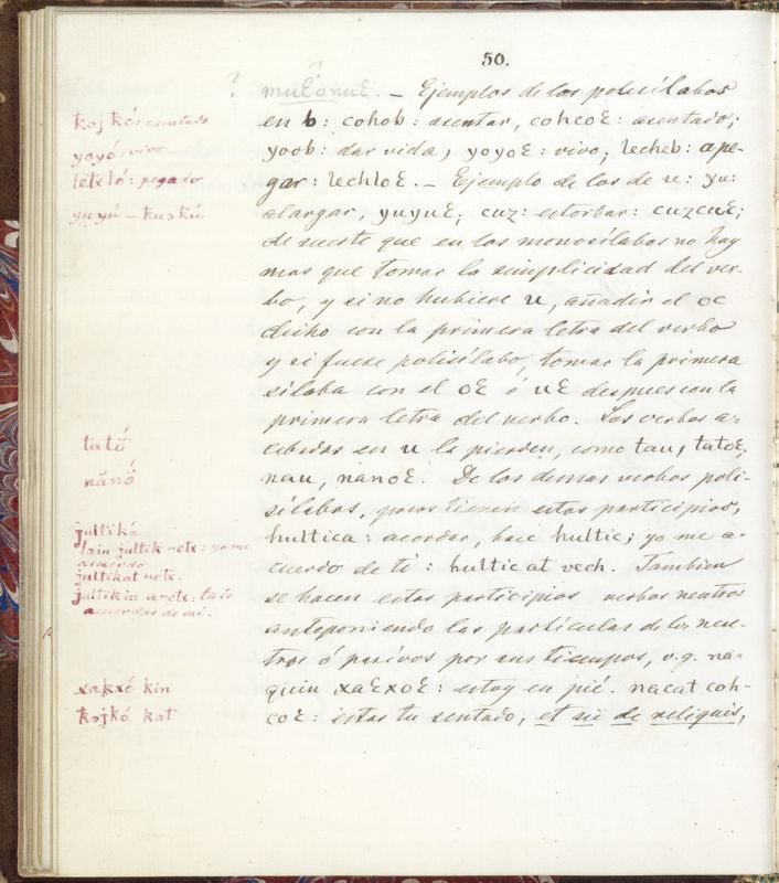 ms_coll_700_item69_wk1_body0050