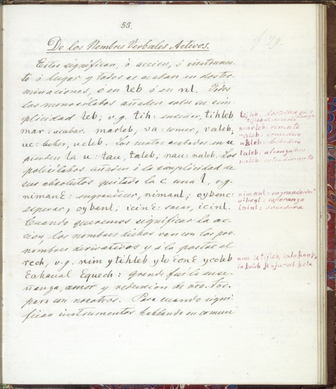 ms_coll_700_item69_wk1_body0055