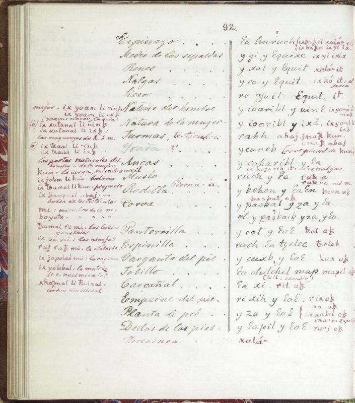 ms_coll_700_item69_wk1_body0092