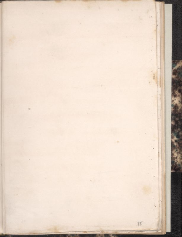 ms_coll_700_item80_wk1_body0189
