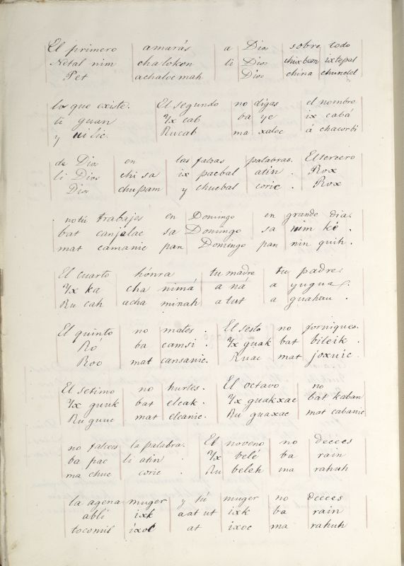 ms_coll_700_item81_wk1_body0011