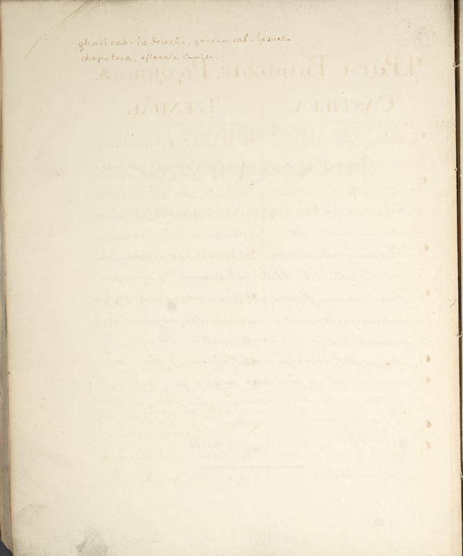ms_coll_700_item93_wk1_afront0008
