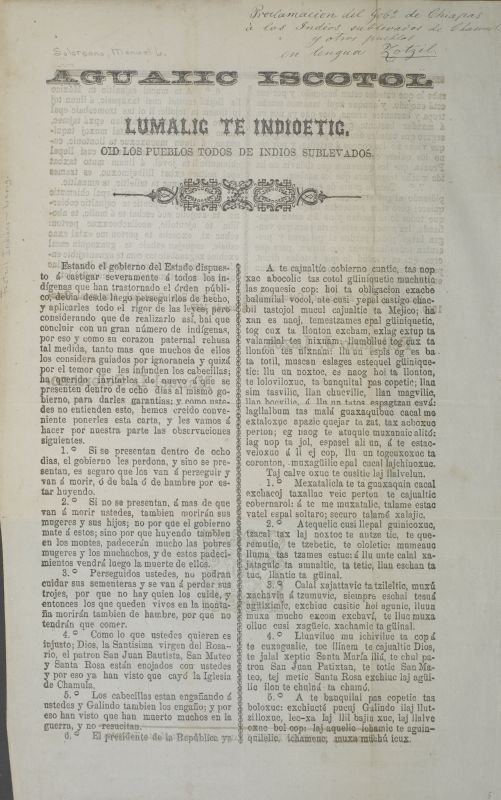 ms_coll_700_item94_wk1_body0007