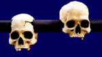 Image - A skull rack called a tzompantli