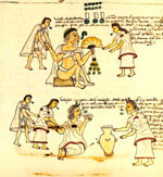 Image - Folio 70v. Ordinarily intoxication was prohibited in Aztec society, but once a man or woman had reached the age of seventy, they were entitled to imbibe at their leisure, after a life of self-less toil.