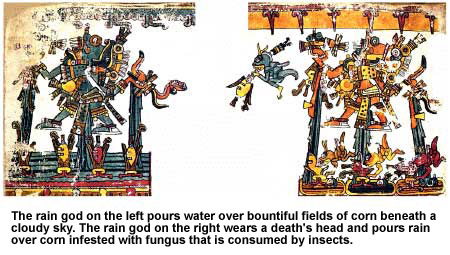 Image - The rain god on the left pours water over bountiful fields of corn beneath a cloudy sky. The rain god on the right wears a death's head and pours rain over corn infested with fungus that is consumed by insects.