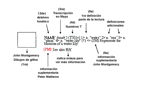 Ejemplos de elementos usados en entradas para este diccionario Maya en la web. Ejemplos de elementos usados en entradas para este diccionario Maya en la web.