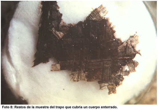 Foto 8: Restos de la muestra del trapo que cubría un cuerpo enterrado. Foto 8: Restos de la muestra del trapo que cubría un cuerpo enterrado.