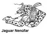 Jaguar Nenúfar