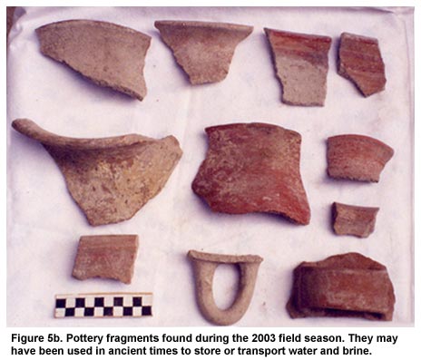 Figure 5b. Pottery fragments found during the 2003 field season. They may have been used in ancient times to store or transport water and brine.
