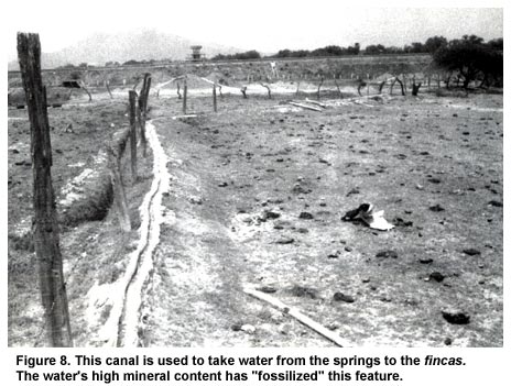 Figure 8. This canal is used to take water from the springs to the fincas. The water's high mineral content has "fossilized" this feature.