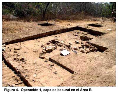 Figura 4. Operaci&oacute;n 1, capa de basural en el &Aacute;rea B.