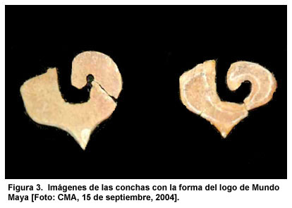 Figura 3. Im&aacute;genes de las conchas con la forma del logo de Mundo Maya [Foto: CMA, 15 de septiembre, 2004].