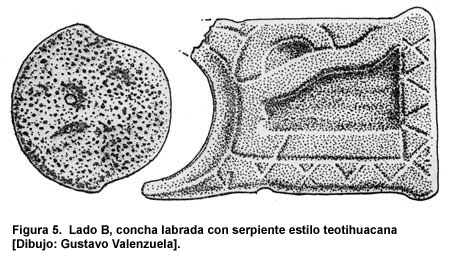 Figura 5. Lado B, concha labrada con serpiente estilo teotihuacana [Dibujo: Gustavo Valenzuela].