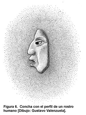 Figura 6. Concha con el perfil de un rostro humano [Dibujo: Gustavo Valenzuela].